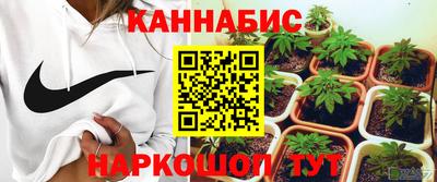стаф Ефремов