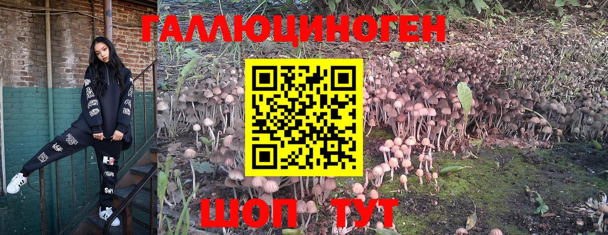 Галлюциногенные грибы GOLDEN TEACHER Волгодонск