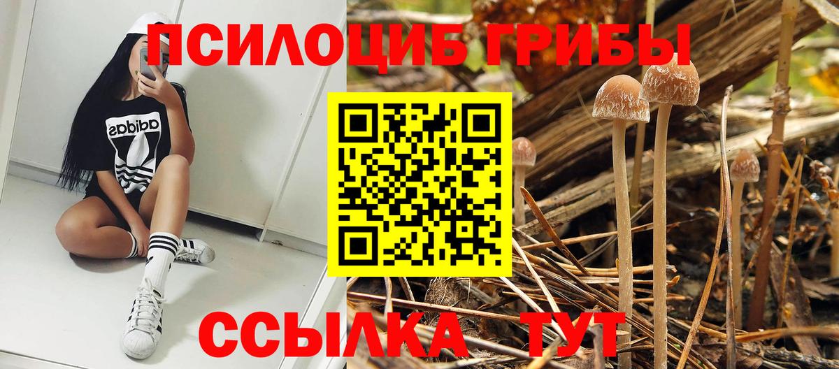 Волгодонск  Псилоцибиновые грибы Magic Shrooms  Вход с VPN  Псилоцибиновые грибы мицелий 